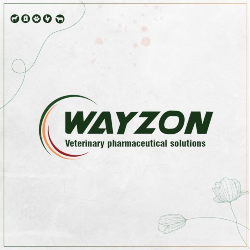 Employment Opportunities Accountant for Wayzon pharma